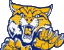 ~/images/logo_neuquavalley.gif